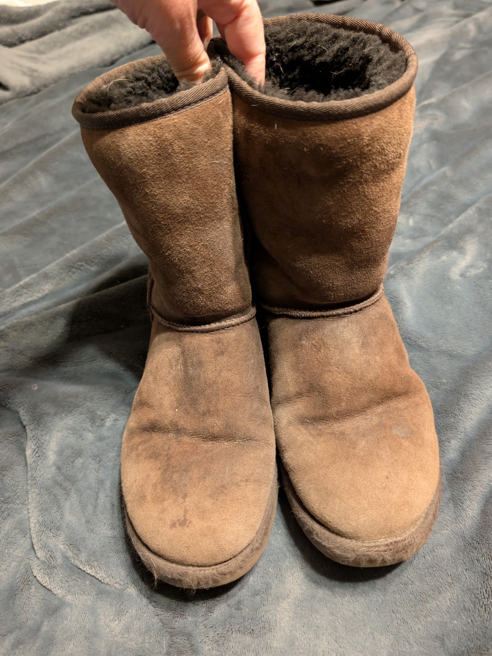 UGG Men's Chestnut Suede Shearling Boots